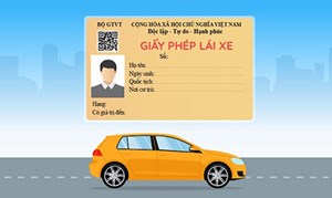 Hướng dẫn thủ tục đổi bằng lái ô tô mới nhất 2025