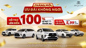 Triển khai chương trình khuyến mại tháng 11/2024