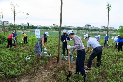 Thúc đẩy chương trình “33Win334 tỷ lệ trả thưởng cao chung tay xanh hóa học đường” năm 2021
