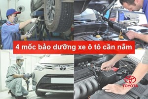 4 mốc 33Wim 5 Thể thao, casino, game bài, nổ hũ xe ô tô, chi phí và giá dịch vụ 2025